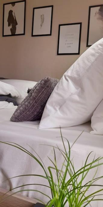 Holiday home Classe Deux Etoiles De France N 17