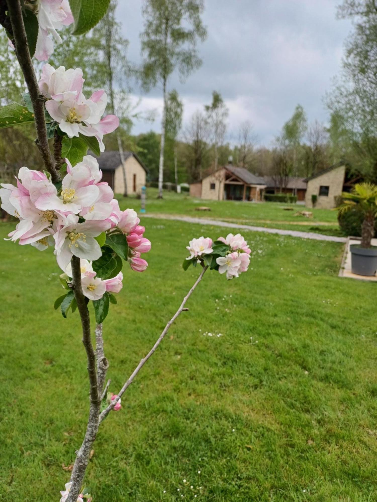 Classe Deux Etoiles De France N 17 Hébergement de vacances Signy-le-Petit